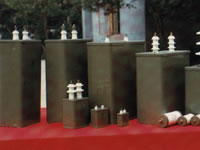 BWF Series High Voltage Shunt Capacitor